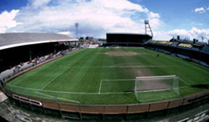 Vetch Field